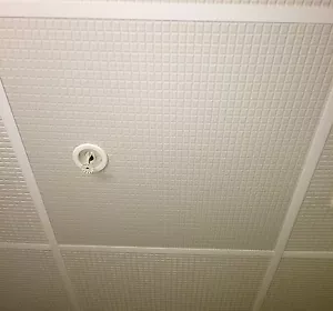 Drop Ceiling Tile - EcoTile Ingot 2' x 2' White Washable Carton of 18 Tiles - Picture 1 of 7
