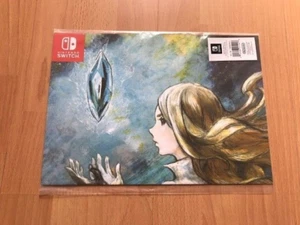 BRAVELY DEFAULT 2 DOUBLE SIDED NINTENDO SWITCH PRE ORDER POSTER - Picture 1 of 1