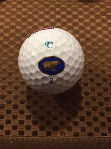LOGO PELOTA DE GOLF-NICKLAUS BEAR AZUL #3... LOGOTIPOS PGA TOUR/CDW... ¡BUEN ESTADO!! - Imagen 1 de 4