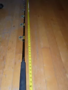 Ocean Fishing Rod Shimano Saragosa Great Fishing condition, Reels deals - Picture 1 of 11