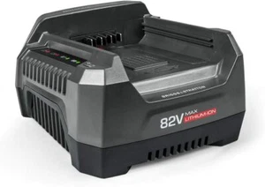Caricabatterie ORIGINALE per tutte le batterie BRIGGS&STRATTON da 2 Ah 4 Ah 5 Ah - Foto 1 di 1