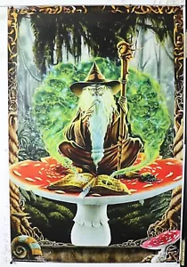 wizard on mushroom POSTER Rare Richard Biffle 24.25" X 36.50" NOS (b288) - Picture 1 of 3