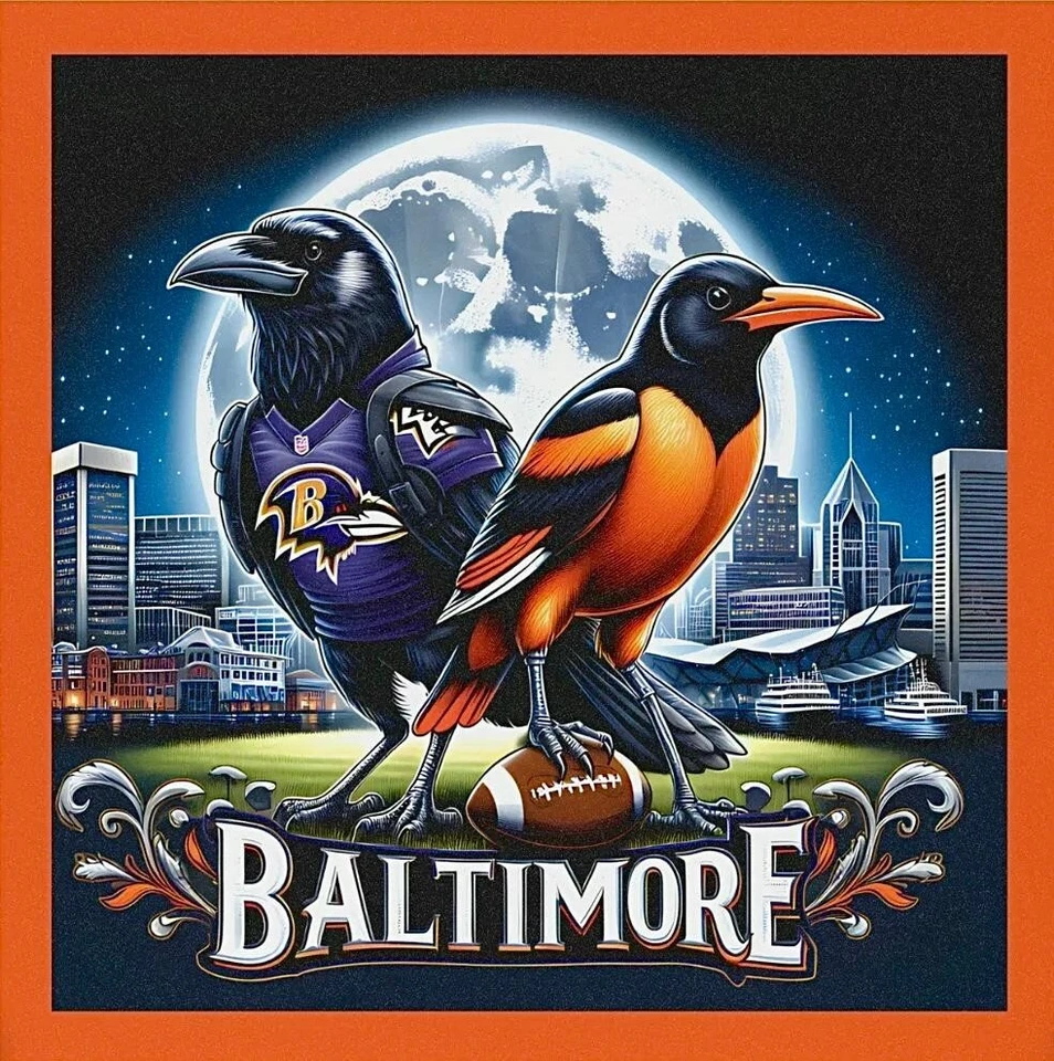 (2) Calcomanías de vinilo impermeables Baltimore Ravens Orioles 4x4 aves horizonte Foto 1 de 1