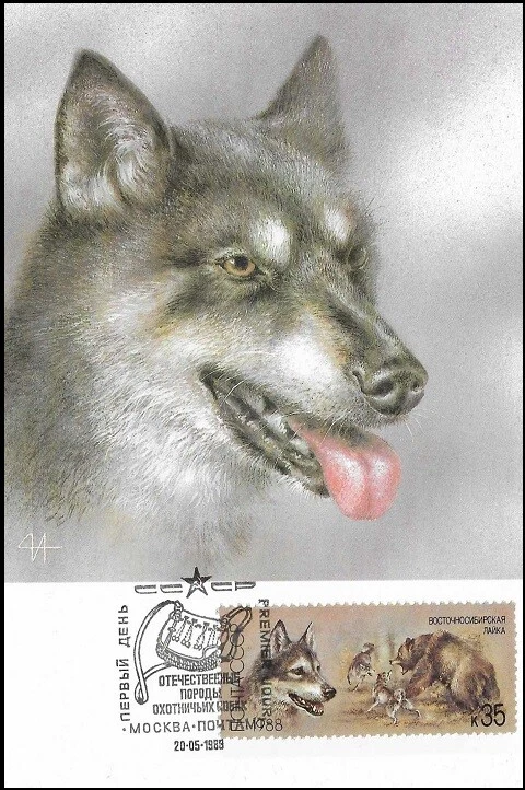 Maxi tarjeta FDC 1988 Laika perro de caza natural de Siberia Oriental Rusia como nueva Foto 1 de 1