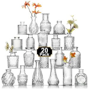 Bud Vase Set, Mini Vases for Flowers, Small Vintage Glass 20 Pcs Clear-20pcs