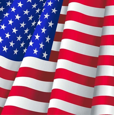 USA Flag Blanket, Plush Queen Size Throw, Patriotic American Blanket - Image 1 of 3