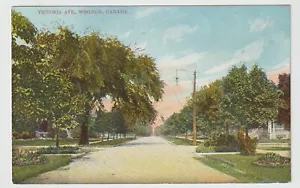 Windsor Ontario Postcard Victoria Avenue Street View Trees Unused - Bild 1 von 2