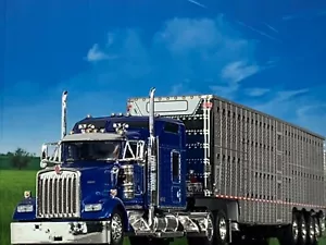 1/64 DCP KENWORTH W900L W/ 86" STUDIO SLEEPER & WILSON QUAD AXLE CATTLE TRL - Picture 1 of 8
