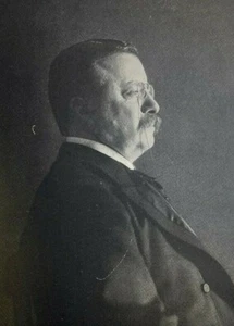 1904 Vintage Magazine Illustration President Theodore Roosevelt - Picture 1 of 2