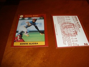 1991 Collegiate Collection FSU Seminoles Set Break (#1-198). 99 Singles-Qty.Disc