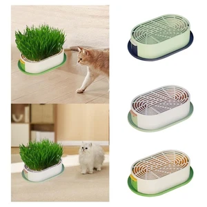 Pflanzgefäß für Katzengras-Keimung, Weizengras-Anzuchttopf, robustes - Picture 1 of 22