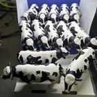 VINTAGE SCHLEICH - HOLSTEIN BULL - 13632 - D-73527 - RETIRED 14 AVAILABLE