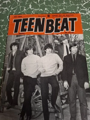 Vintage TEENBEAT MONTHLY Magazine JULY 1964 Stones Animals Beatles Merseybeats  - Image 1 of 2