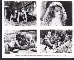 Senta Berger Lando Buzzanca CUANDO LAS MUJERES PERDIERON LA COLA 1972 foto original 52561 - Imagen 1 de 1
