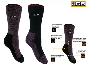 JCB Ladie's Thermasock vThermal Socks Work Sock Winter 1 pack Size 4-7 Purple - Picture 1 of 10