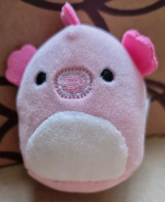 Starla / Sheldon The Pink Seahorse 2” Squishville by Squishmallow 2024 - Image 1 of 3