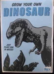 Dinosaur Grow Your Own Dinosaur Egg. Toy. - Picture 1 of 3