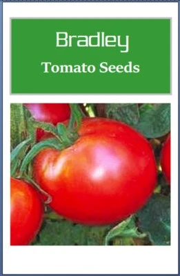 Bradley Tomato Seeds | Fresh NON-GMO Heirloom Tomato Seeds Garden Seeds - Image 1 of 2
