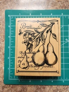 Vintage PSX Rubber Stamp. Large Pyrus Pear Botanical Comb ship B10 - Picture 1 of 6