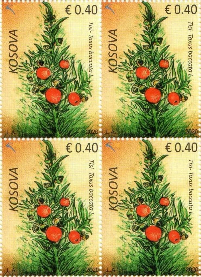 Estampillas de Kosovo 2020. Flora: Tisi - Taxus baccata L. Bloque de 4 MNH Foto 1 de 1