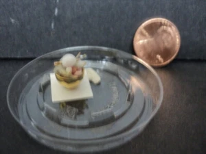 DOLLHOUSE BOWL W/ SHELLS- (1/24TH SCALE) - Imagen 1 de 4
