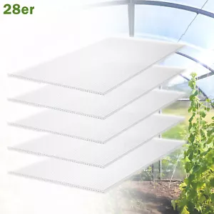 28X Doppelstegplatten Polycarbonat 4mm Gewächshaus Transparent Hohlkammerplatten - Bild 1 von 13
