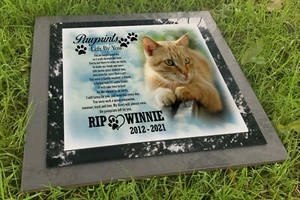 Lápida de tumba para mascota, gato o perro, lápida de jardín y placa fotográfica, exterior - Imagen 1 de 19