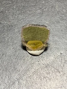 Turmalin, Wassermelonenturmalin, Anschliff, Karibib, Namibia - Bild 1 von 4