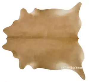 Palomino Brazilian Cowhide Rug: XXL - Picture 1 of 4
