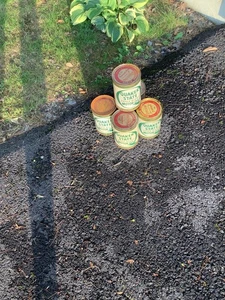 (5) 1 Quart Vintage Quaker State Öldosen voll 60er Jahre - Bild 1 von 1