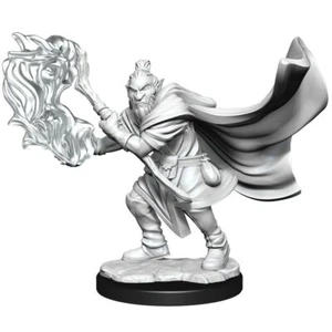 HOBGOBLIN MAGO Y DRUIDA MASCULINO Miniaturas de rol crítico Wizkids WZK90389 D&D - Imagen 1 de 3