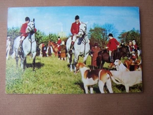 Fuchsjagd - Bild 1 von 1