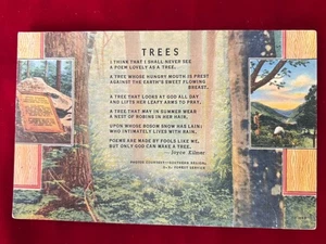Joyce Kilmer Memorial Wald Bäume North Carolina Vintage Postkarte mit Gedicht verschickt - Bild 1 von 2