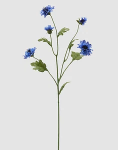 Fiordaliso Artificiale Extra - Foto 1 di 1