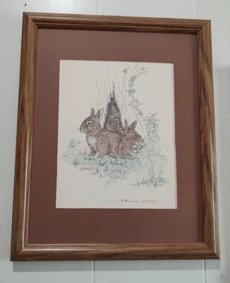 Dibujo a lápiz original de colección Bill Neat 1975 firmado enmarcado boceto de conejos Foto 1 de 4