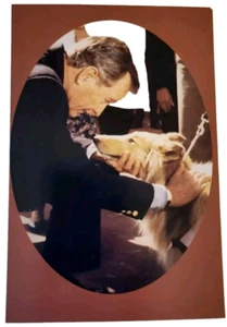 George Bush Biblioteca Presidencial y Museo Postal Perro Amigo College Station TX - Imagen 1 de 2