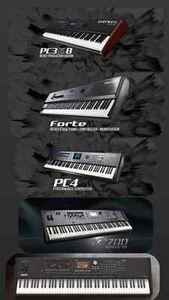 Kurzweil Forte, K2700, PC3, PC3K, PC4, K2088, K2061, dźwięki, sample - Zdjęcie 1 z 1