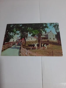 Postkarte Amish Homestead Lancaster, PA - Bild 1 von 2