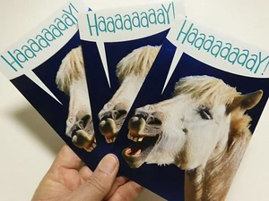 3 Cards American Greetings Encouragement Support HAAAAAAAY! Horse Blank Inside - Picture 1 of 5