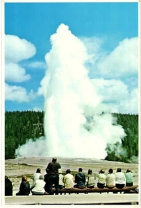VTG Postcard Yellowstone National Park Wyoming People Watching Old Faithful UNP - Picture 1 of 2