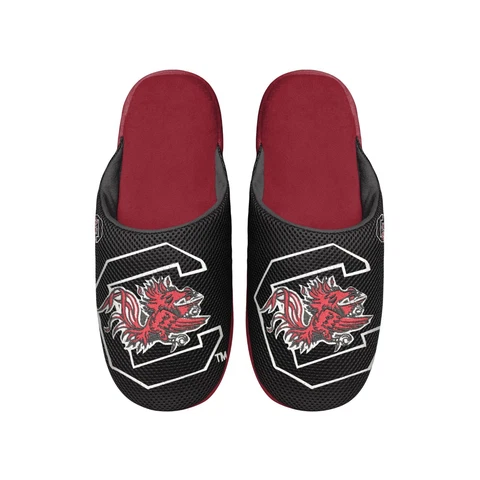 South Carolina Gamecocks 2022 NCAA Men's Big Logo Mesh Slide on Slipper FREE Cover