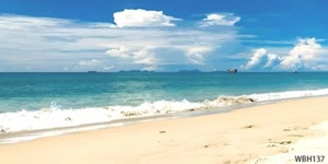 20'x10'Computer-paint Ocean Sand beach Blue Sky Wide Backdrop Background WBH137 - Picture 1 of 3