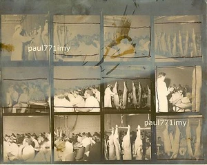 UNGEWÖHNLICHE VINTAGE 60er JAHRE RINDERSCHLACHTHOF 8X10 WIE EINE ANDY WARHOL FOTOTAFEL - Bild 1 von 1
