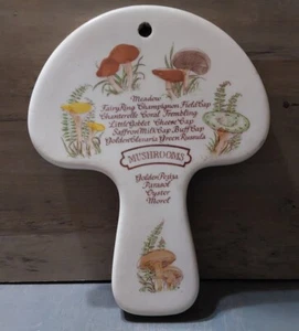 Weiss Mushroom Wall Haniging Ceramic Double Sided Hand Painted Brazil 1980 - Picture 1 of 3