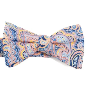 Pajarita ajustable Saddlebred preatada 100 % seda azul rosa amarillo cachemira - Imagen 1 de 6