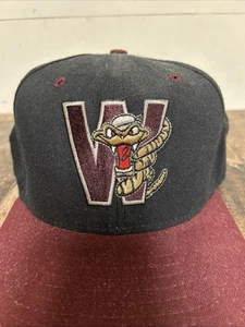 Cappello da baseball vintage Wisconsin Timber Rattlers SnapBack nuova era modello professionale berretto US - Foto 1 di 17