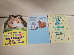 Lot Of 27 Greeting Cards, Easter, Funny, With Envelopes - Picture 1 of 7