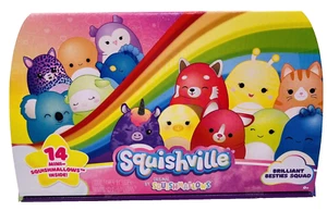 NIB Squishmallows Squishville Brilliant Besties Squad 14 Mini Plush Inside 2021 - Picture 1 of 2
