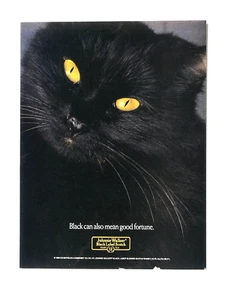 Johnnie Walker Black Vintage 1989 Black Can Mean Good Fortune Original Print Ad - Picture 1 of 5