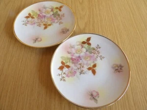 Set 2# VTG Bavaria Schumann Arzberg Germany Wild Rose 6” Dessert Plate MINT 12# - Picture 1 of 5
